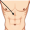abdominals muscles5